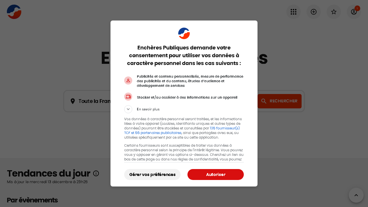 Capture d'écran de http://www.encheres-publiques.com/ 